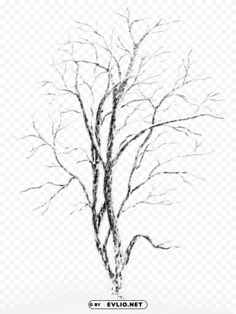 winter snowy tree Isolated Item in Transparent PNG Format
