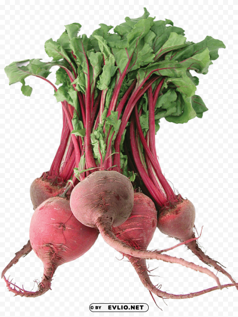 beet HighResolution Transparent PNG Isolated Item