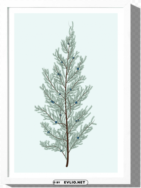juniper art print roo kee roo - christmas tree Transparent PNG stock photos