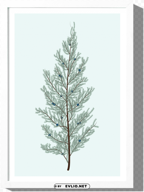 juniper art print roo kee roo - christmas tree Transparent PNG stock photos PNG transparent with Clear Background ID fa497c1f