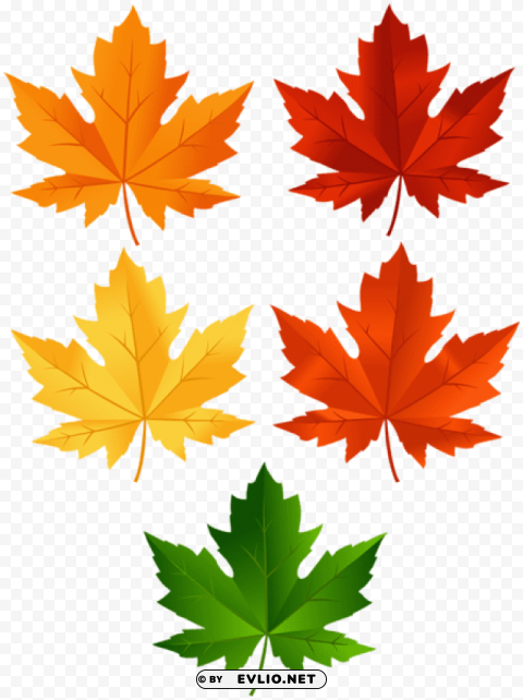 autumn leaves set PNG images for personal projects