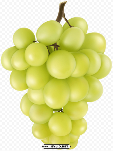 grape PNG files with clear backdrop assortment