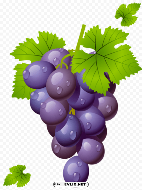 grape with leavespicture Isolated PNG Object with Clear Background