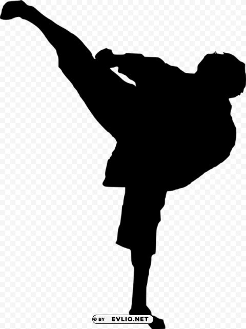 karate silhouette PNG images with no watermark