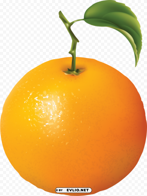 orange oranges Isolated Character with Transparent Background PNG