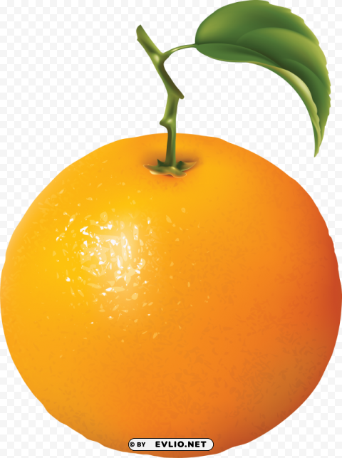 orange oranges Isolated Character in Transparent PNG Format