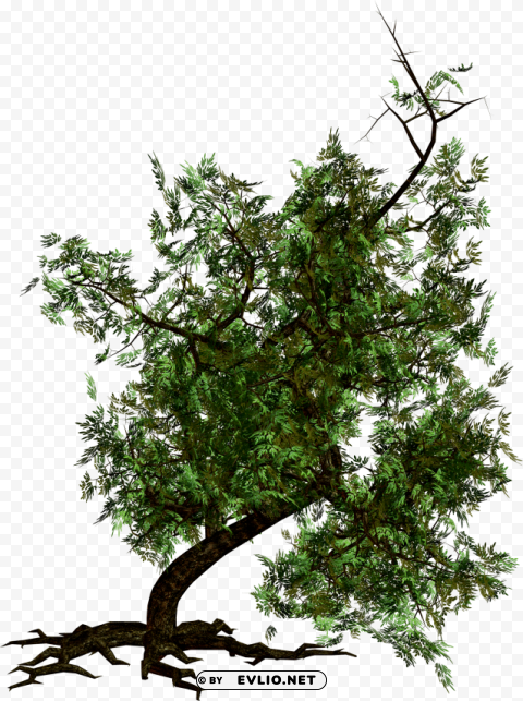 PNG image of tree PNG images with no background needed with a clear background - Image ID 9be61bb3