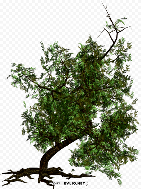 tree PNG for Photoshop