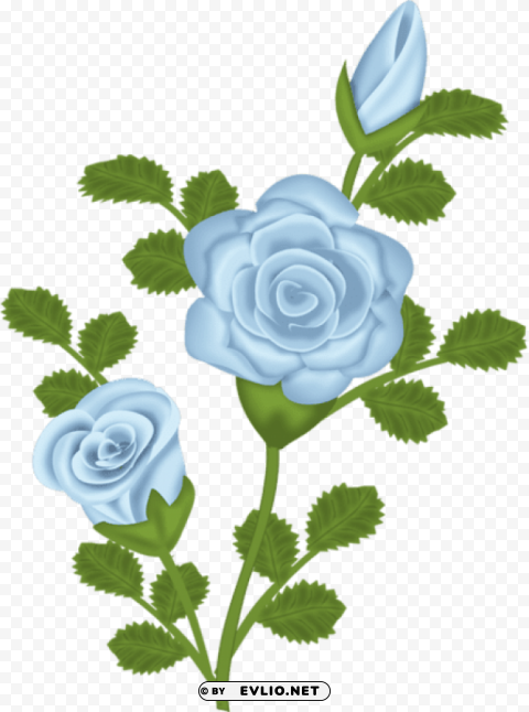 blue rose Free PNG images with transparent backgrounds