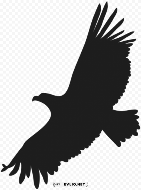 Flying Eagle Transparent Background PNG Isolated Character