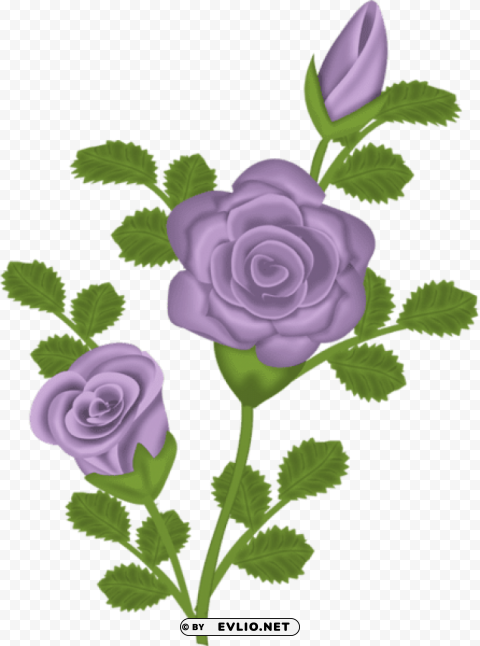 purple rose Free PNG images with transparent background