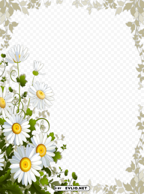  frame with daisies Free transparent PNG