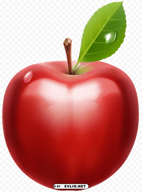 apple PNG for free purposes