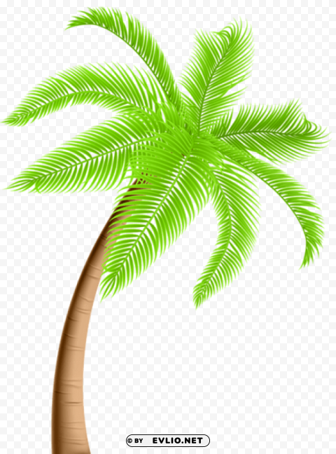 palm tree Isolated Character on Transparent PNG