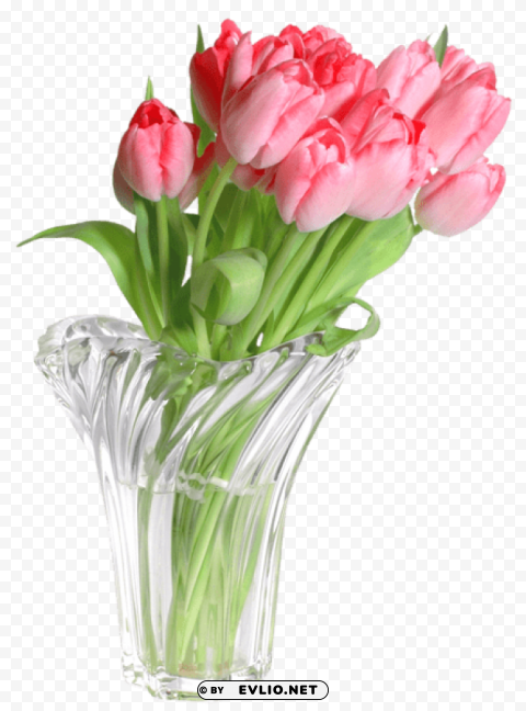 pink tulips in vase Transparent picture PNG