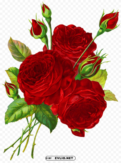 roses red drawing PNG transparent graphics for projects