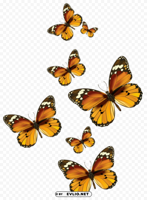 butterflies vectorpicture Free download PNG with alpha channel extensive images