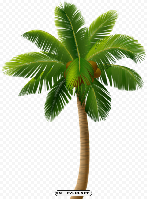 palm tree Transparent Background Isolated PNG Design Element