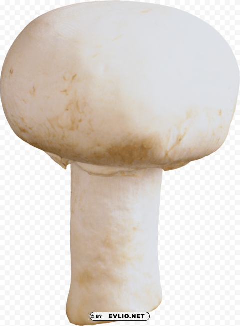 mushroom PNG for mobile apps