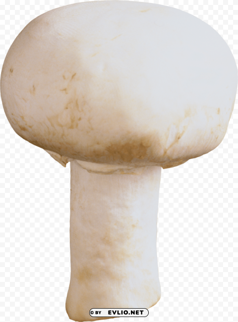 Mushroom PNG For Mobile Apps