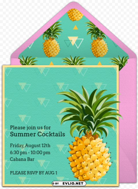 notebook lined pineapple pattern 120 blank lined PNG images with alpha background