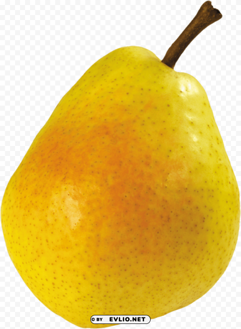 pear Isolated Icon on Transparent Background PNG