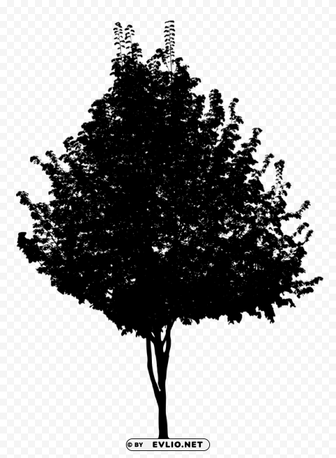 Black Tree PNG graphics with clear alpha channel selection