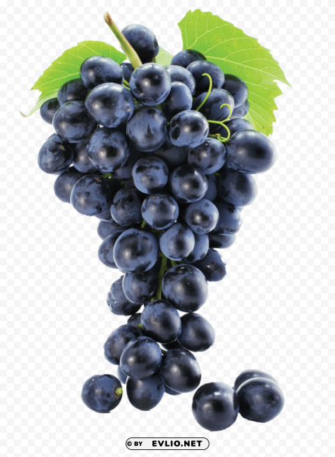 grapes Transparent PNG images extensive variety