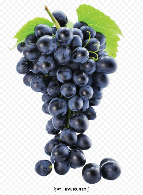 Grapes Transparent PNG Images Extensive Variety