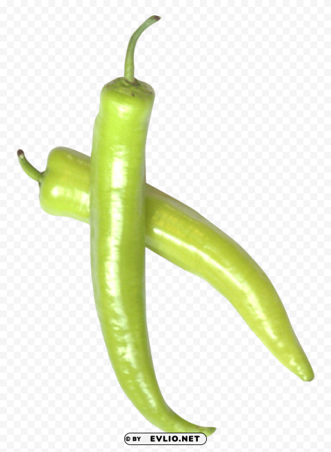 green chili pepper Clear PNG image