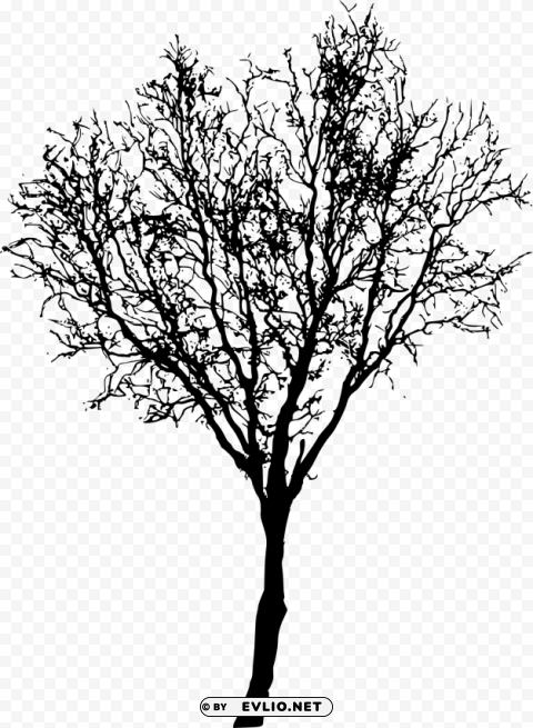 Transparent tree ilhouette Isolated Object with Transparent Background in PNG PNG Image - ID 8e41737b