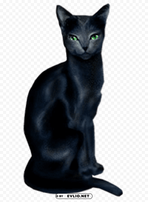 black cat PNG artwork with transparency