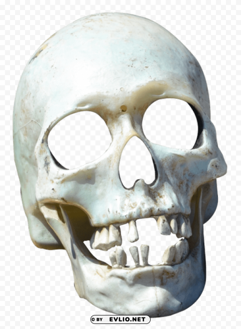 Skull High-resolution PNG Images With Transparent Background
