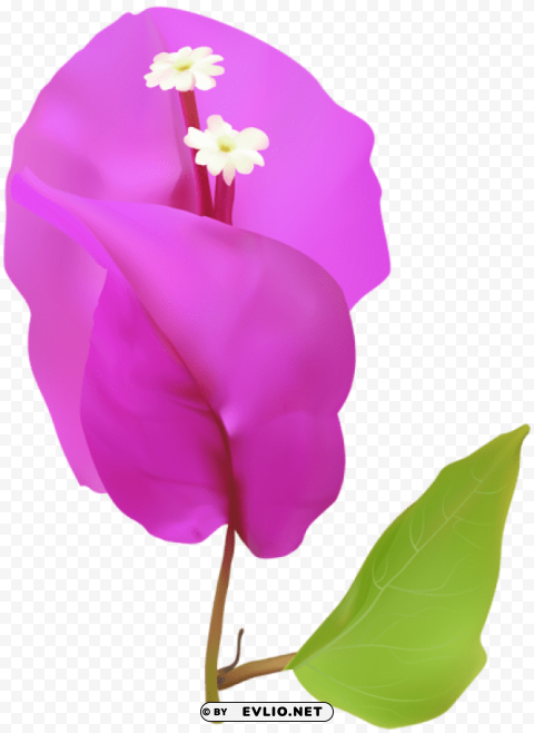 spring tree flower PNG transparent graphic