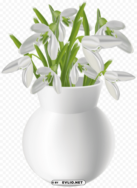 vase with snowdrops Transparent PNG Isolated Item