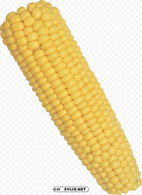 corn PNG images for mockups