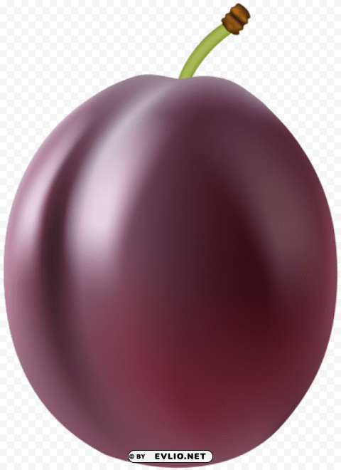 plum fruit PNG Image Isolated on Transparent Backdrop