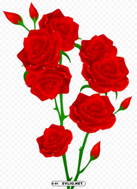 PNG image of red roses Isolated Graphic in Transparent PNG Format with a clear background - Image ID debcde9e