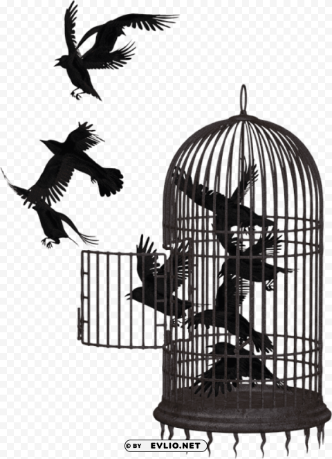 cage bird crow PNG Image Isolated with Clear Transparency