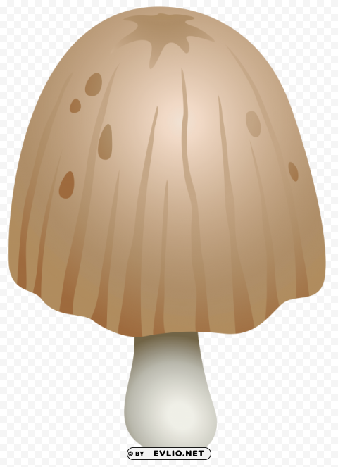 coprinus comatus mushroom Transparent PNG images extensive variety