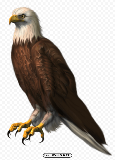 eagle transparentpicture HighQuality Transparent PNG Isolated Graphic Design