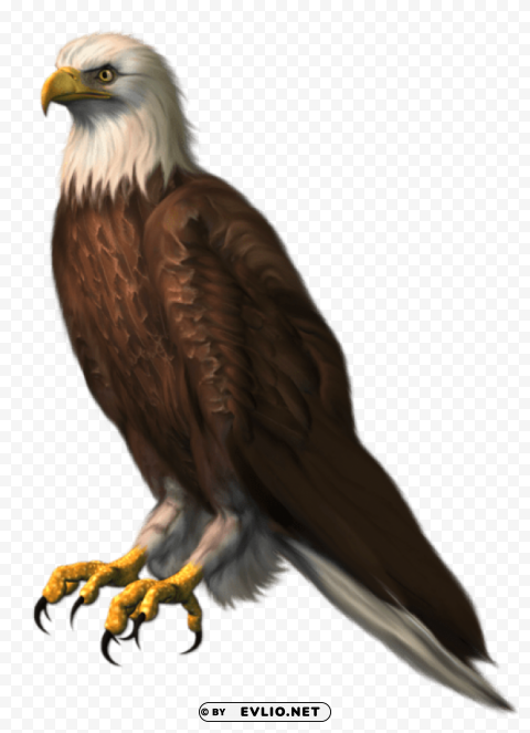 eagle transparentpicture HighQuality Transparent PNG Isolated Graphic Design png images background - Image ID 56006074