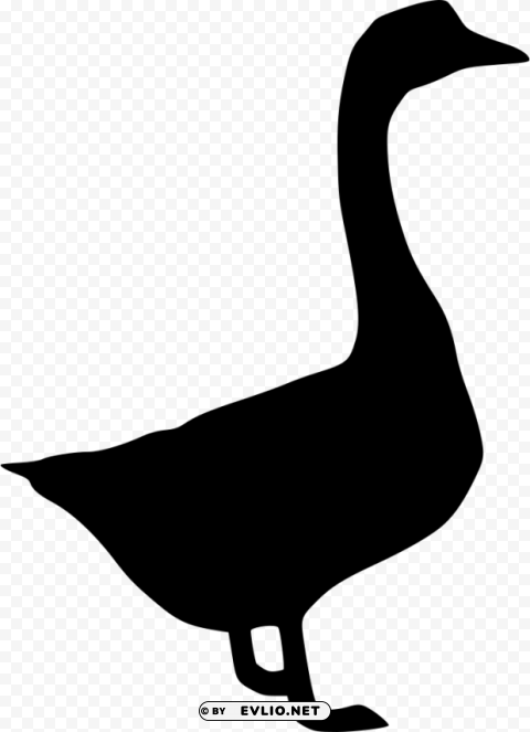 goose HighResolution Transparent PNG Isolated Graphic