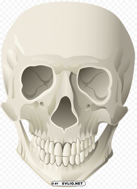 skull Free download PNG with alpha channel extensive images png images background -  image ID is 63da6ac0