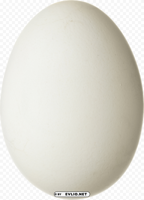 eggs Isolated Object on Transparent PNG