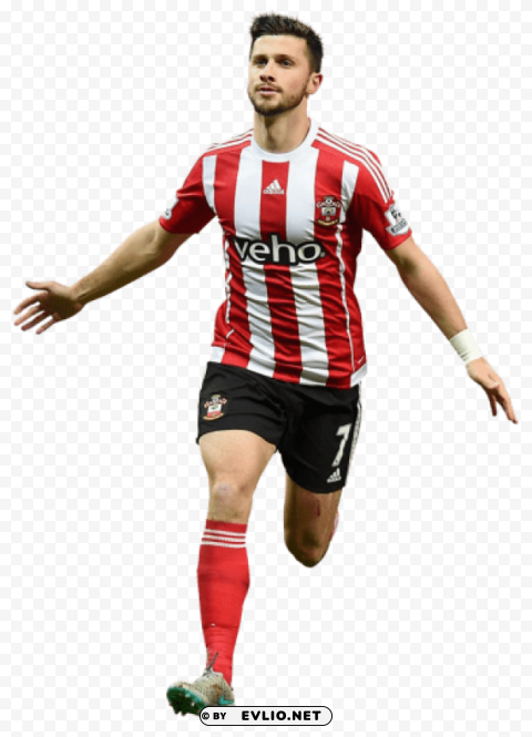 shane long Transparent PNG Isolated Graphic Design