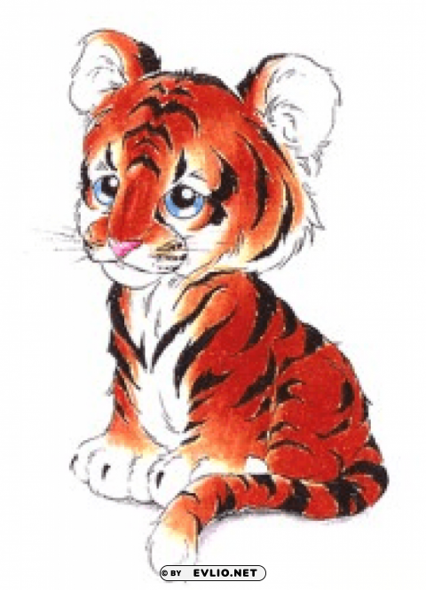 tiger PNG with transparent bg