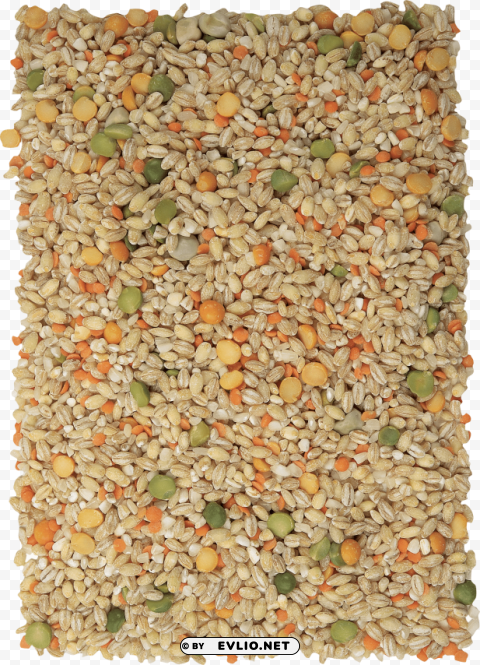 Wheat PNG Image with Clear Background Isolated