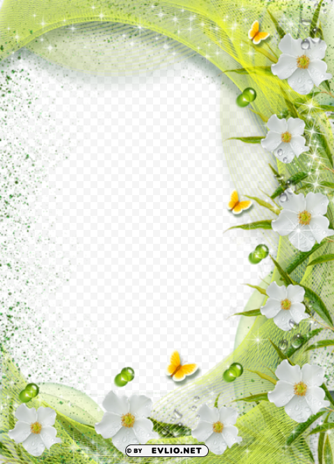 beautiful green photo frame with white flowers Transparent PNG download