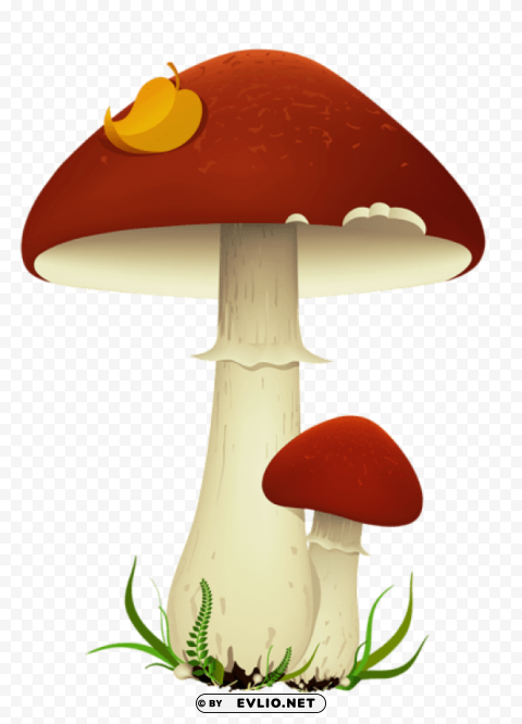 fall mushroomspicture Isolated Element with Clear Background PNG